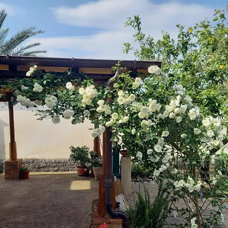 Casa Maria * Scauri (Lazio)